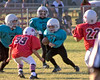 2008 Jags : Roswell Youth Football